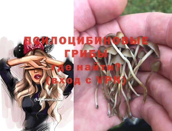 PSILOCYBIN Дмитров