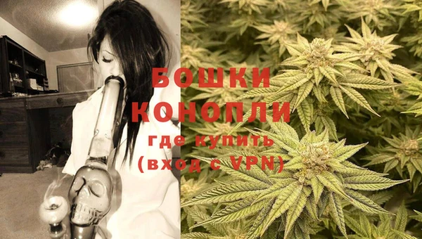 PSILOCYBIN Дмитров