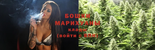 PSILOCYBIN Дмитров